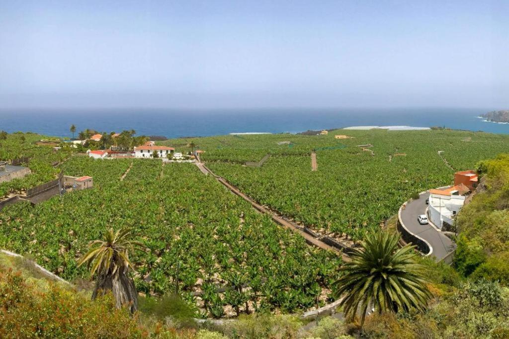 Casa Canaria Acero Garachico  Luaran gambar